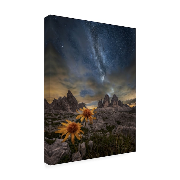 Alberto Ghizzi Panizza 'Even The Flowers Seem To Be Fascinated' Canvas Art,18x24